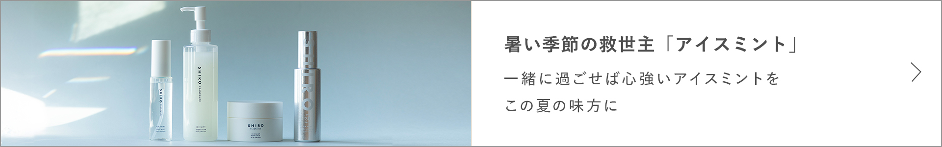 暑い季節の救世主「アイスミント」