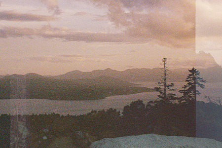 BLACK FOREST BLESSING