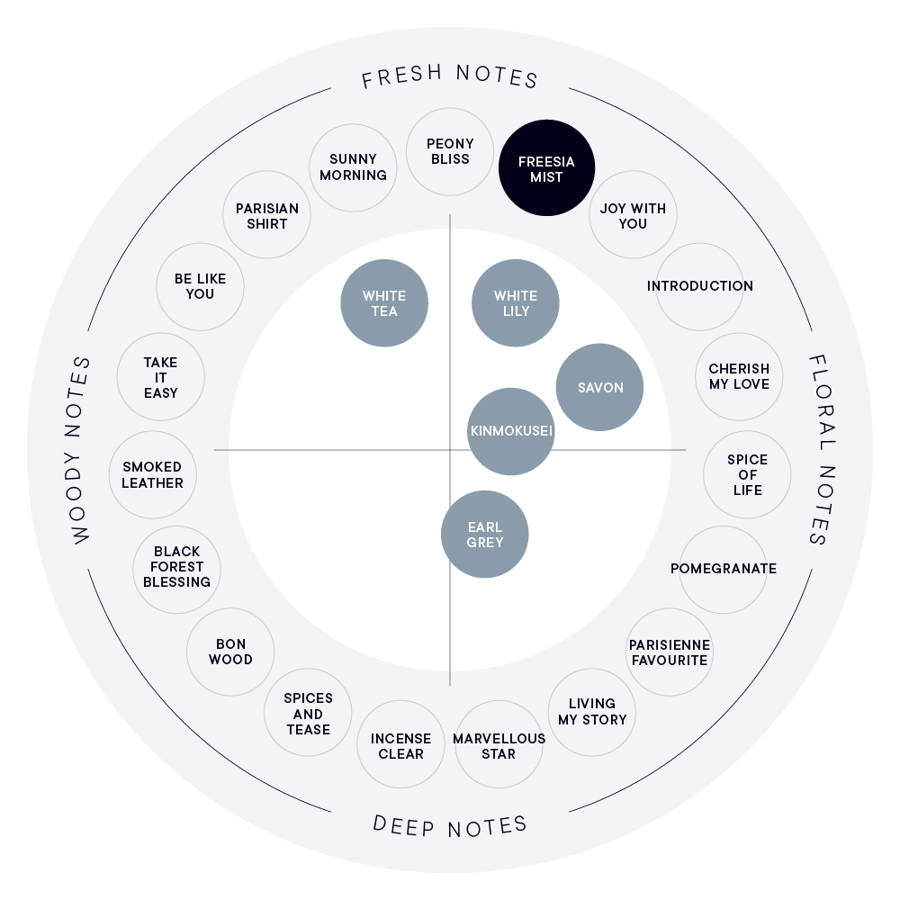 FREESIA MIST パフュームディフューザー リキッド（スティック10本付き）