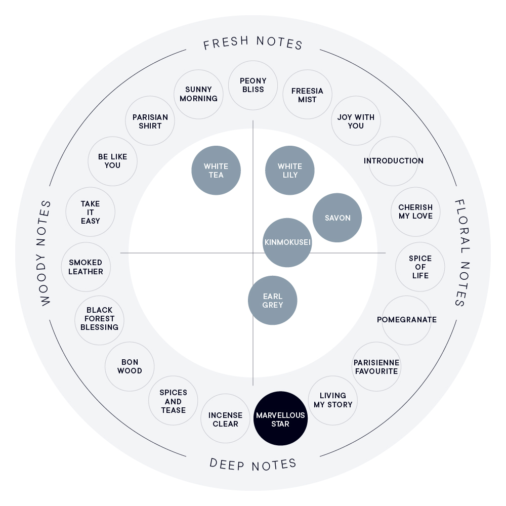 MARVELLOUS STAR パフュームディフューザー リキッド（スティック10本付き）