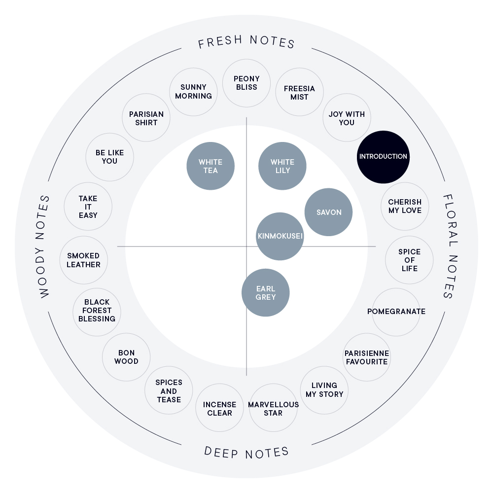 INTRODUCTION ビネガーバスエッセンス