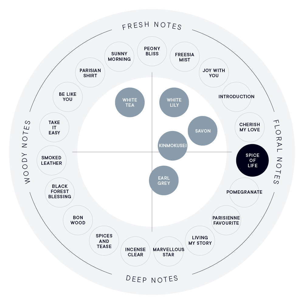 SPICE OF LIFE ビネガーバスエッセンス