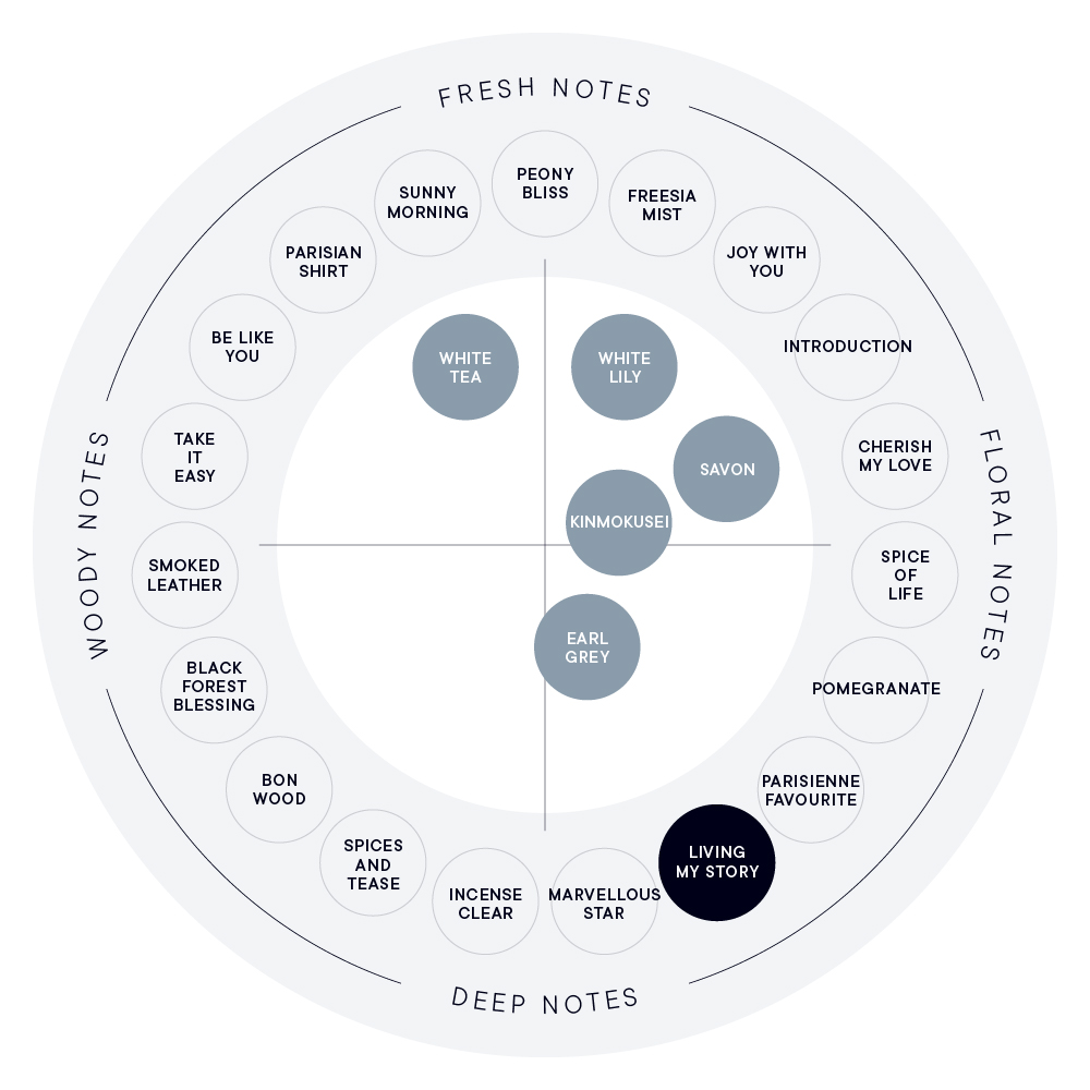 LIVING MY STORY ハンド美容液