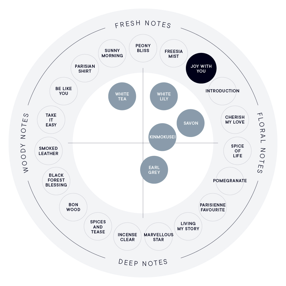 JOY WITH YOU クレイハンドソープ