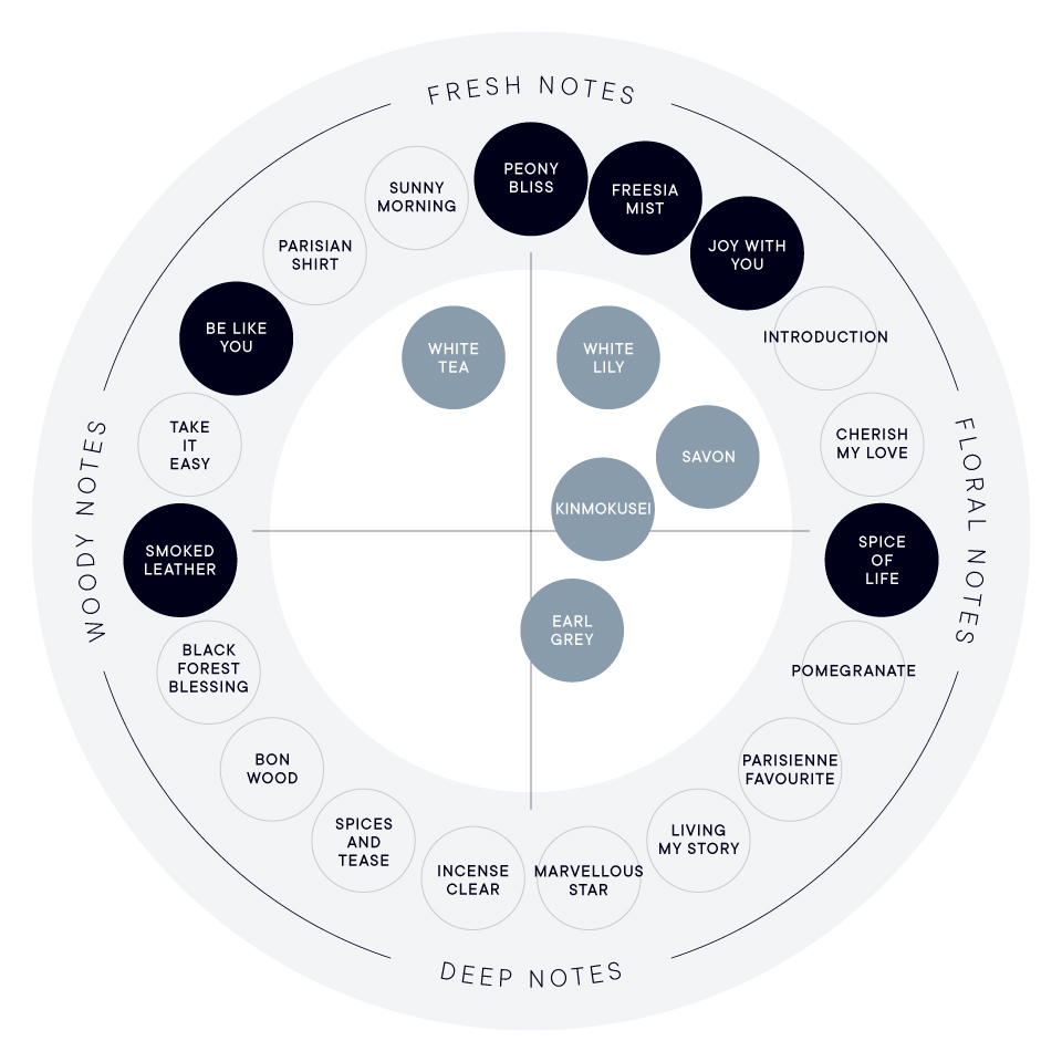 パフューム ボディミスト＆ギフトポーチキット（全6種）
