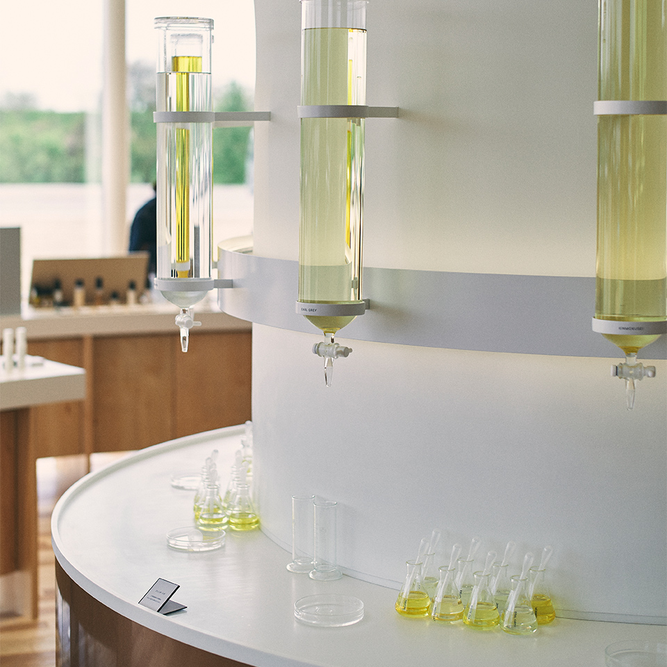 GOLDステージ特典｜みんなの工場ツアー＆ブレンダーラボチケット