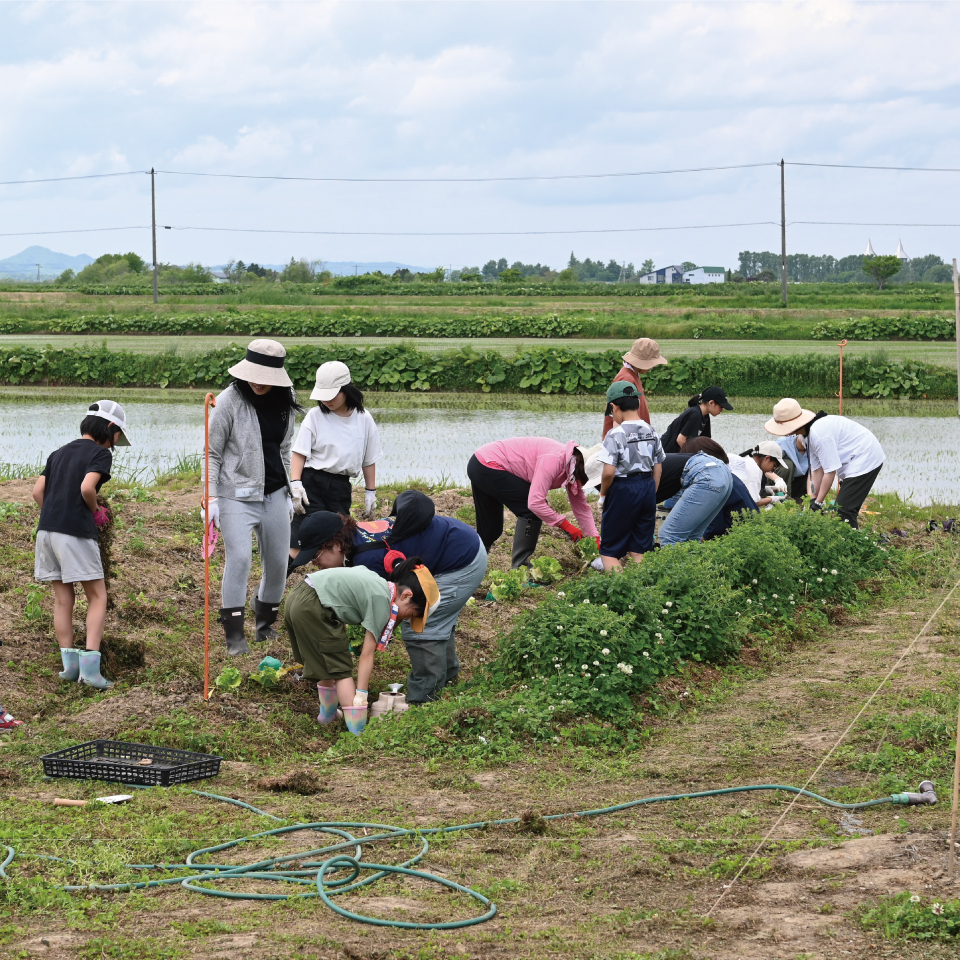 GOLDステージ特典｜未来づくりチケット 「みんなのおしごと」を応援