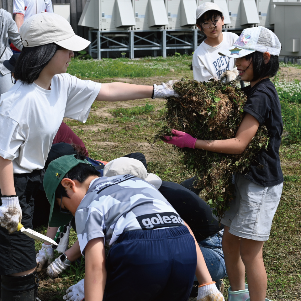 GOLDステージ特典｜未来づくりチケット 「みんなのおしごと」を応援