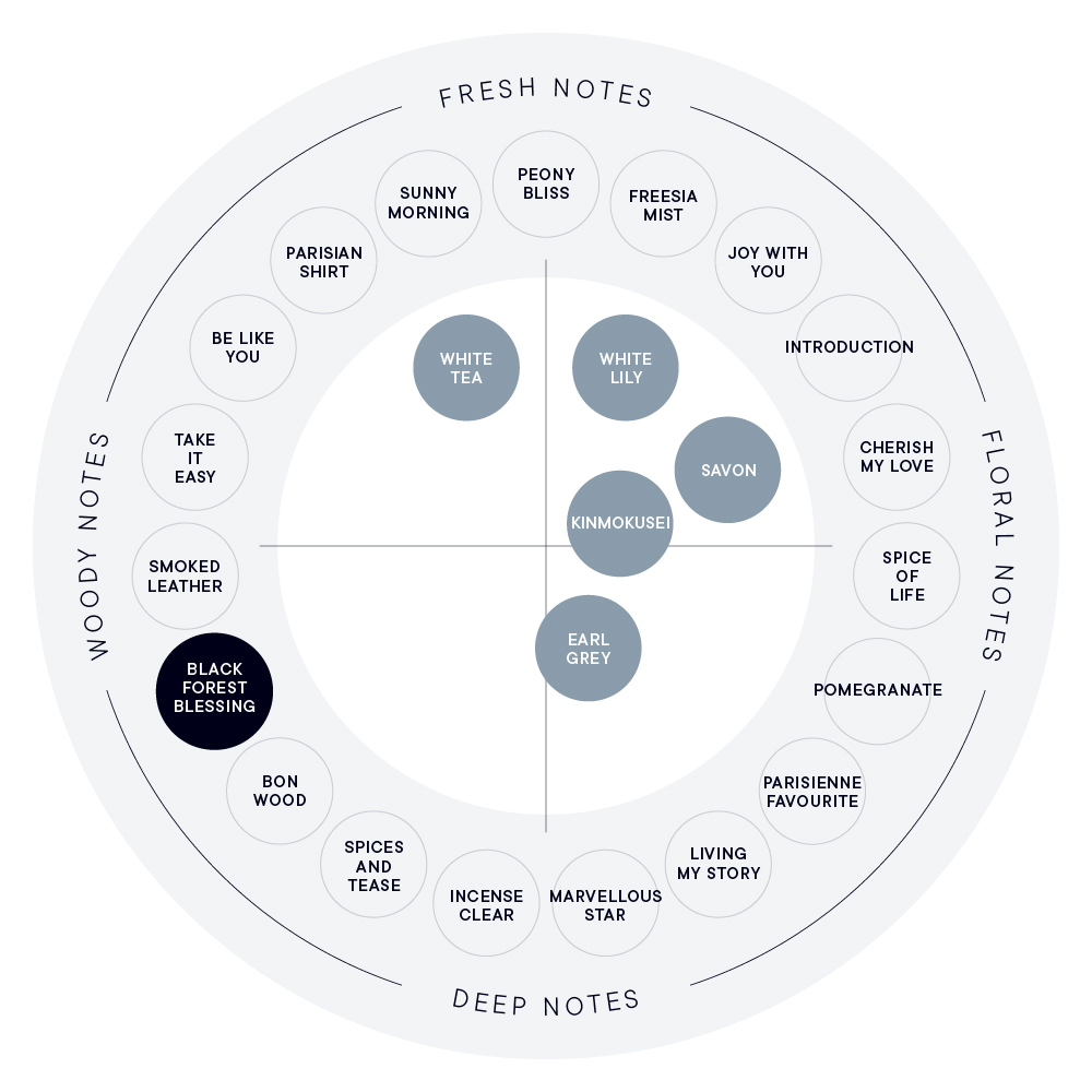 香りのイメージ図