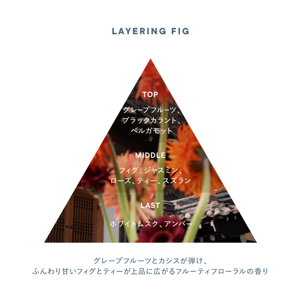 香りのイメージ図