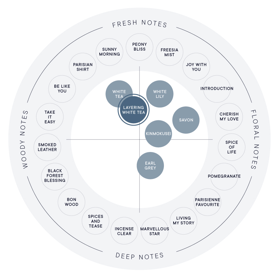香りのイメージ図