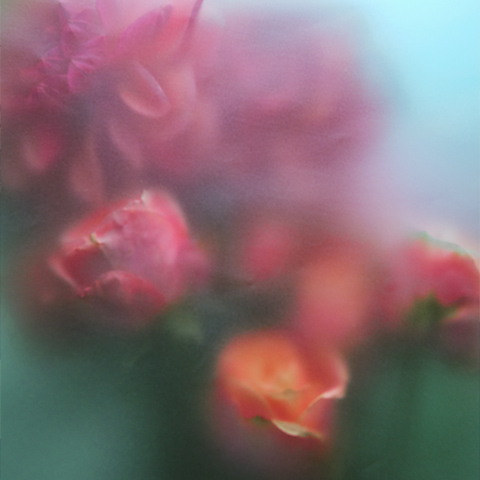 PARISIENNE FAVOURITE