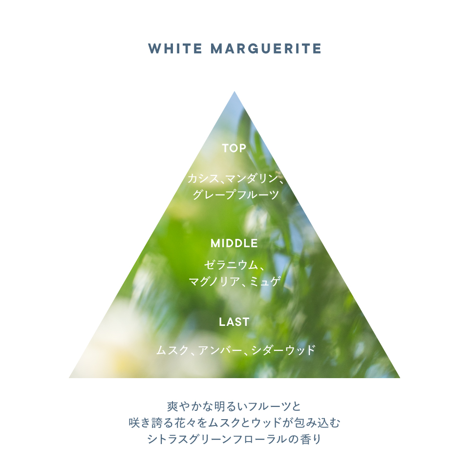 香りのイメージ図