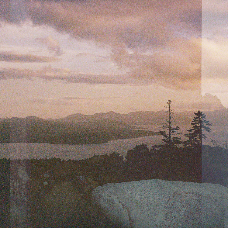 BLACK FOREST BLESSING