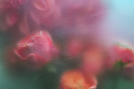 PARISIENNE FAVOURITE