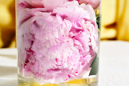 PEONY BLISS
