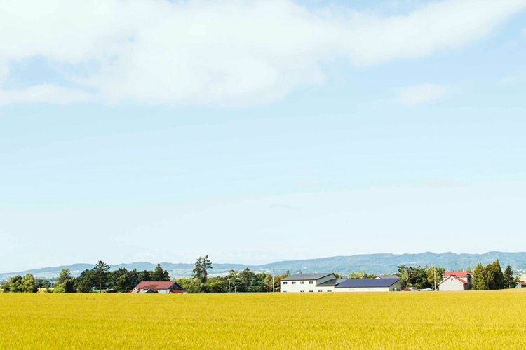新しい「あたりまえ」をつくるSHIROの取り組み