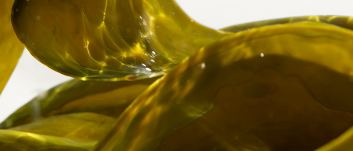 日高昆布の素材画像