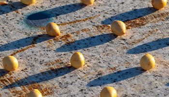 タマヌフェイスマスク