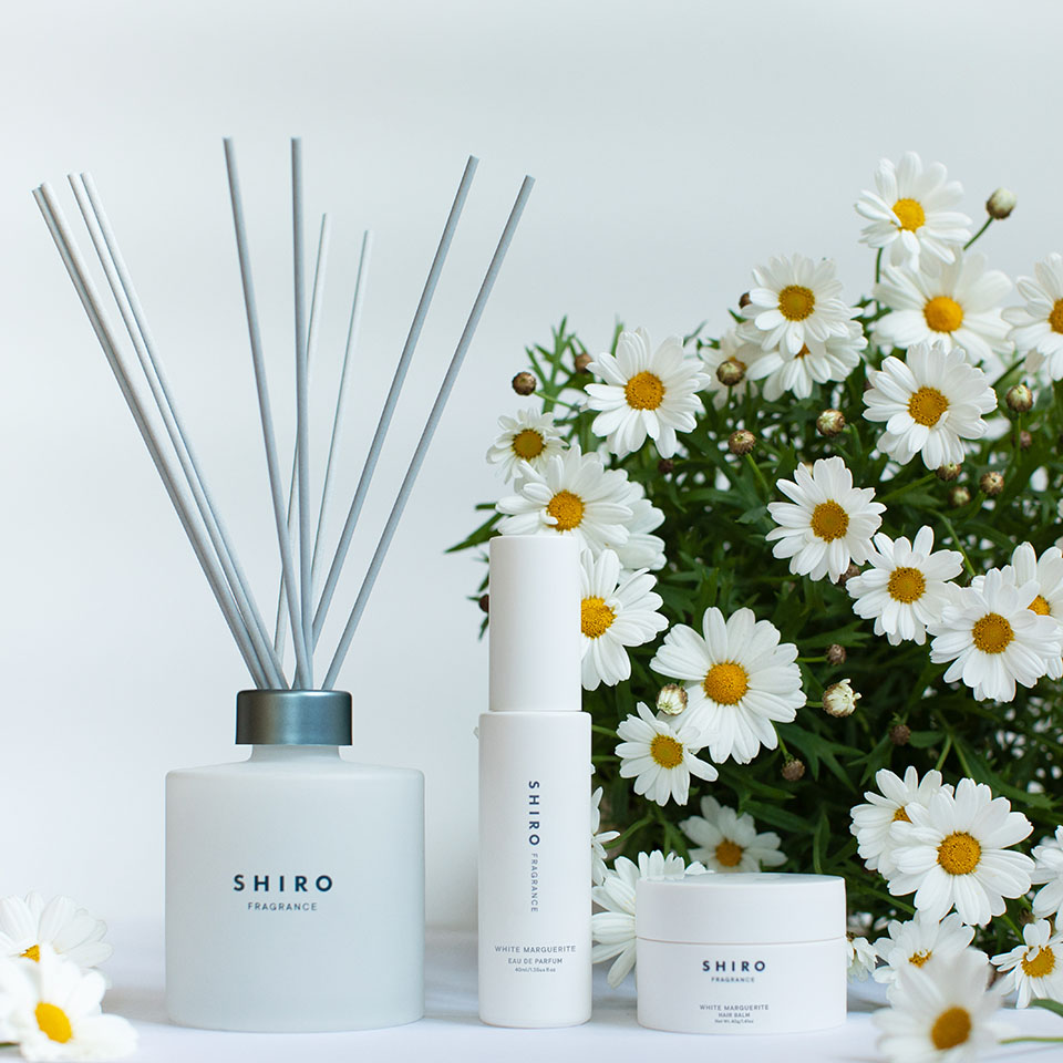 ラインナップ画像