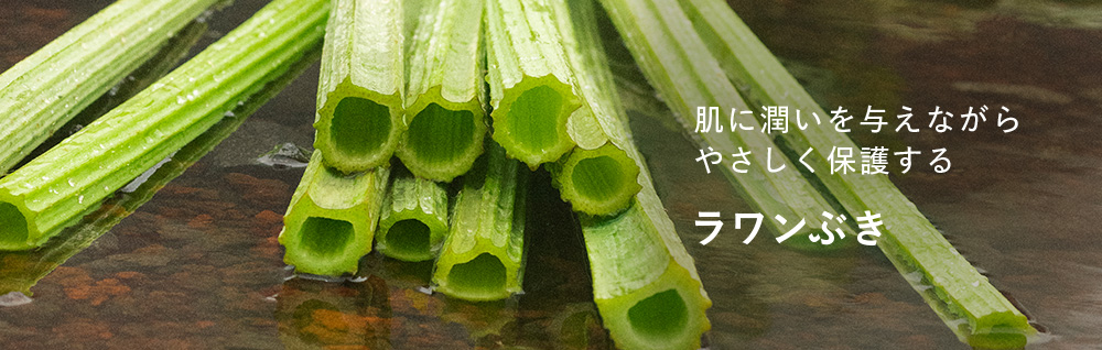 肌に潤いを与えながらやさしく保護するラワンぶき